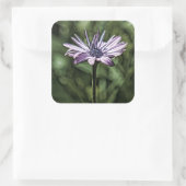 Lila Blume allein Stehend Quadratischer Aufkleber (Tasche)