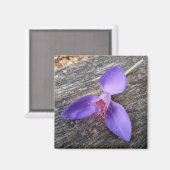 Lila Blume auf einer Bank Magnet (Vorderseite/Rückseite)