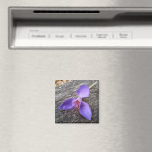 Lila Blume auf einer Bank Magnet (In Situ (Geschirrspüler))