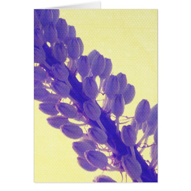 Lila Blume auf Gelb (Vorne)