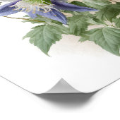 Lila Blume aus Kolumbien Art Print Poster (Ecke)