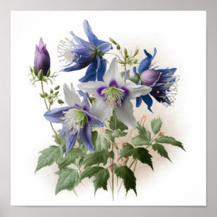 Lila Blume aus Kolumbien Art Print Poster