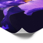 Lila Blume Barti Poster (Ecke)