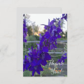 Lila Blume bei Sonnenuntergang Dankeskarte (Vorne/Hinten)