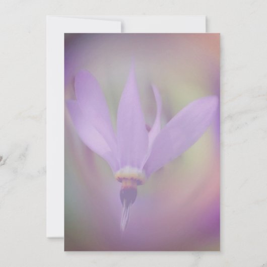 Lila Blume Brautparty Einladung (Rückseite)