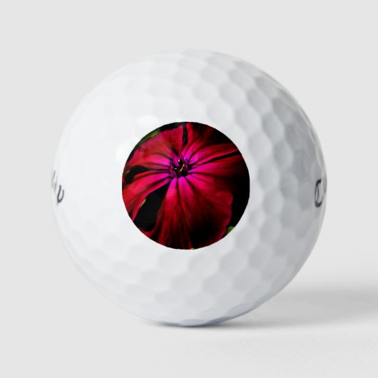 Lila Blume cwb gbcnm Golfball (Vorderseite)