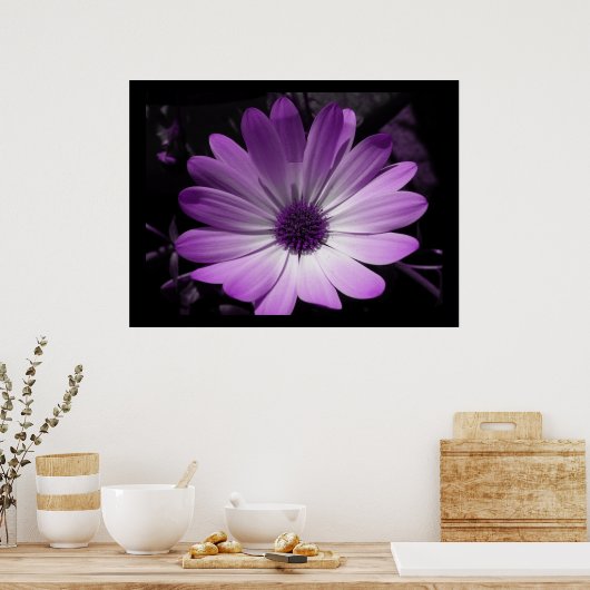 Lila Blume Daisy Poster (Küche)