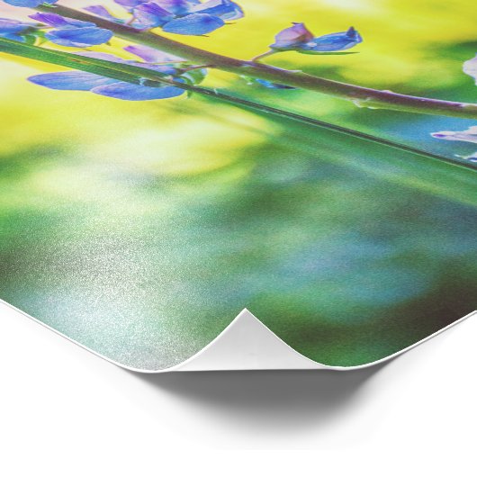 Lila Blume | FOTO (Ecke)