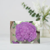 Lila Blume. Foto von Frederick Meekins Postkarte (Stehend Vorderseite)