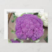 Lila Blume. Foto von Frederick Meekins Postkarte (Vorne/Hinten)