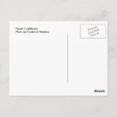 Lila Blume. Foto von Frederick Meekins Postkarte (Rückseite)