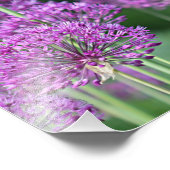 Lila Blume Fotodruck (Ecke)