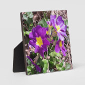 Lila Blume Fotoplatte (Vorderseite)