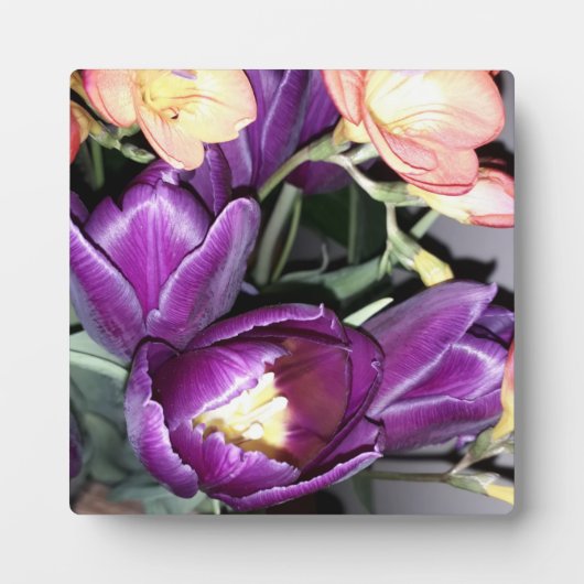 Lila Blume Fotoplatte (Vorderseite)