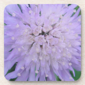 Lila Blume Getränkeuntersetzer (Vorderseite)