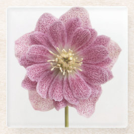 Lila Blume Glass Untersetzer