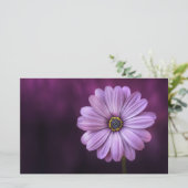 Lila Blume im Blut Briefpapier (Stehend Vorderseite)
