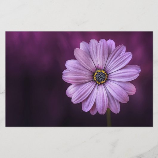 Lila Blume im Blut Briefpapier (Vorderseite)