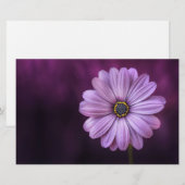 Lila Blume im Blut Briefpapier (Vorne/Hinten)