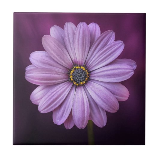 Lila Blume im Blut Fliese (Vorderseite)