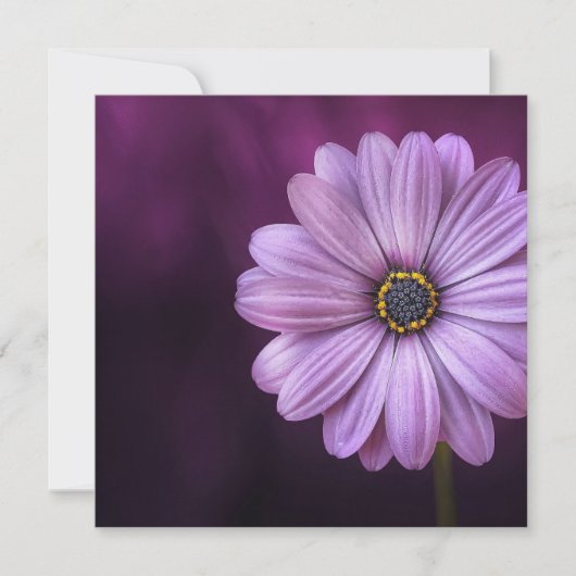 Lila Blume im Blut Karte (Vorderseite)