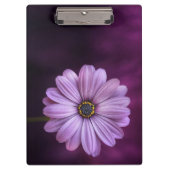 Lila Blume im Blut Klemmbrett (Vorderseite)