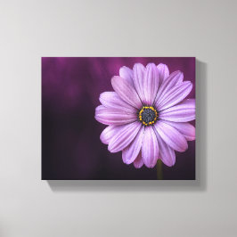 Lila Blume im Blut Leinwanddruck