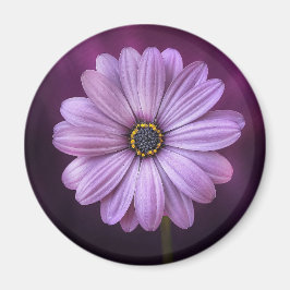 Lila Blume im Blut Magnet