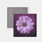 Lila Blume im Blut Magnet (Vorderseite/Rückseite)