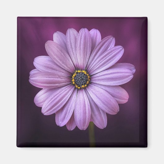 Lila Blume im Blut Magnet (Vorne)