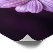 Lila Blume im Blut Poster (Ecke)