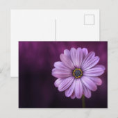 Lila Blume im Blut Postkarte (Vorne/Hinten)