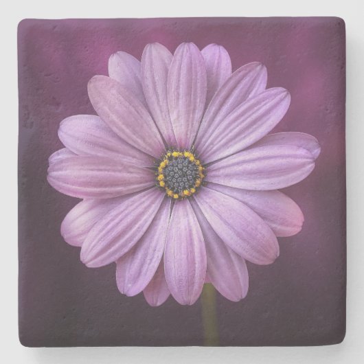 Lila Blume im Blut Steinuntersetzer (Vorderseite)