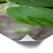lila Blume im Regen Poster (Ecke)