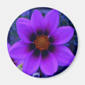 Lila Blume in der Abenddämmerung Magnet (Vorne)