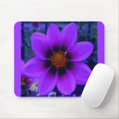 Lila Blume in der Abenddämmerung Mousepad (Mit Mouse)