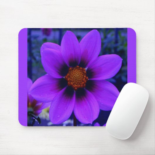 Lila Blume in der Abenddämmerung Mousepad (Mit Mouse)