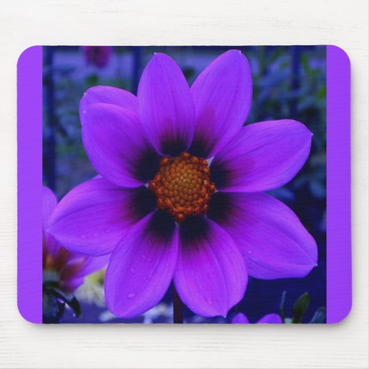 Lila Blume in der Abenddämmerung Mousepad (Vorne)