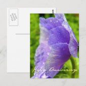 Lila Blume Jahrestag Postkarte (Vorne/Hinten)