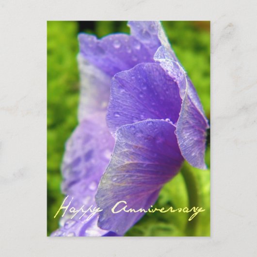 Lila Blume Jahrestag Postkarte (Vorderseite)
