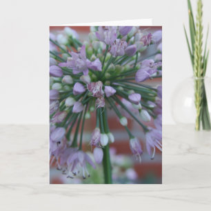 Lila Blume Karte