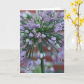 Lila Blume Karte (Gelbe Blume)