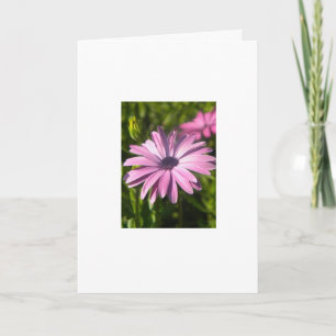 lila Blume Karte