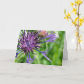 Lila Blume Karte (Gelbe Blume)