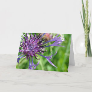 Lila Blume Karte