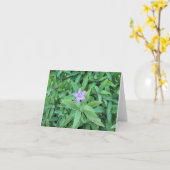 Lila Blume Karte (Gelbe Blume)