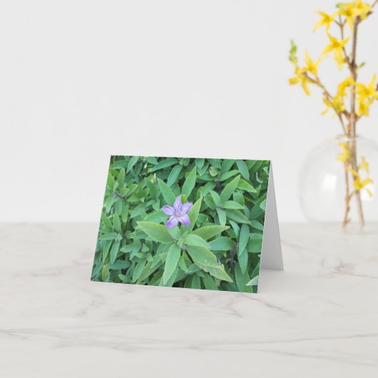 Lila Blume Karte (Gelbe Blume)