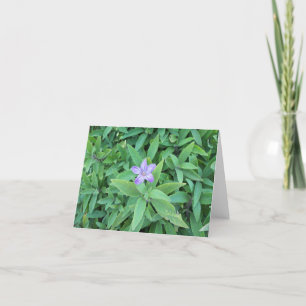Lila Blume Karte