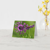 lila Blume Karte (Gelbe Blume)
