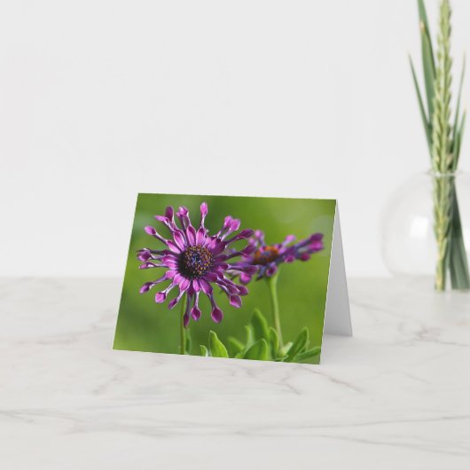 lila Blume Karte (Vorderseite)